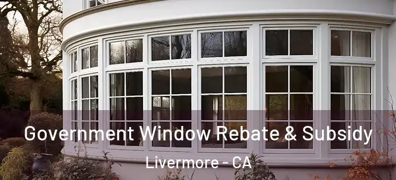  Government Window Rebate & Subsidy Livermore - CA