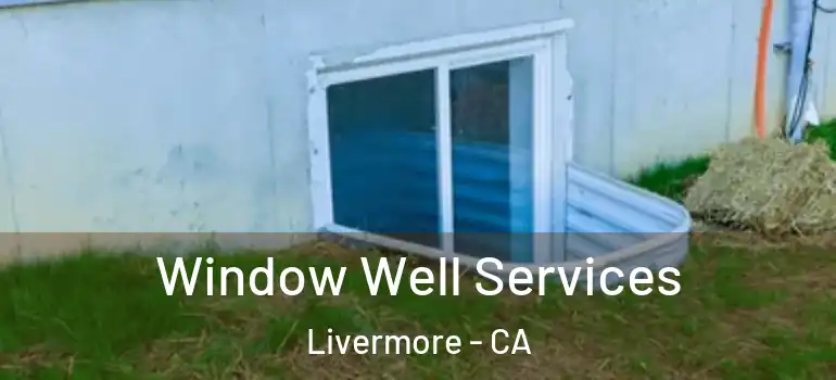  Window Well Services Livermore - CA